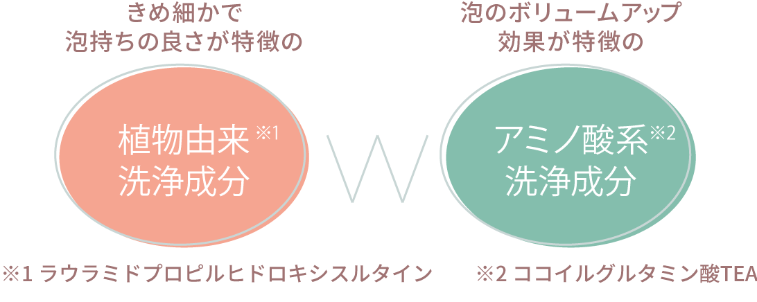 きめ細かで泡持ちの良さが特徴の植物由来※1洗浄成分。泡のボリュームアップ効果が特徴のアミノ酸系※2洗浄成分。※1 ラウラミドプロピルヒドロキシスルタイン。※2 ココイルグルタミン酸TEA